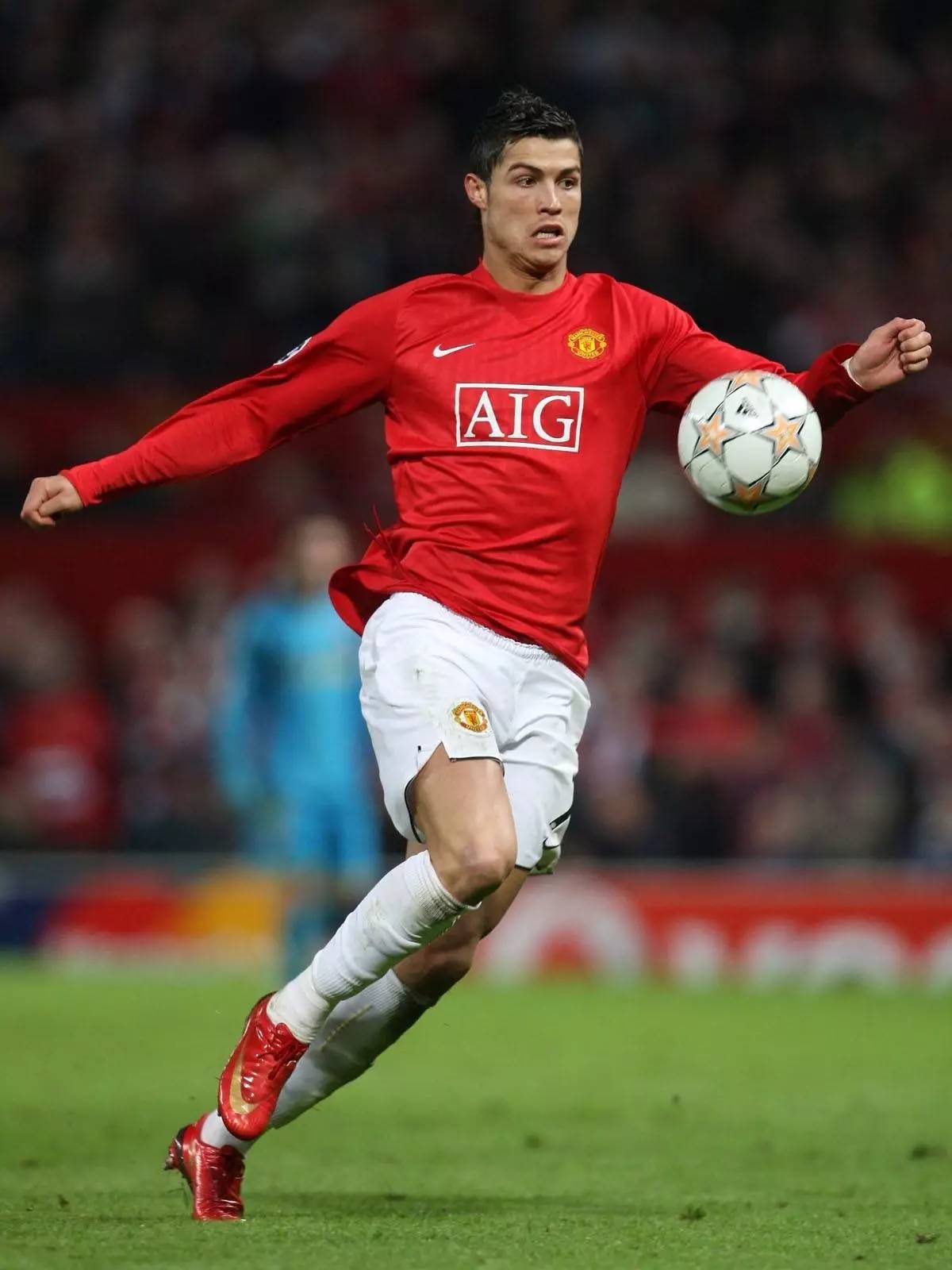 动都能被数 动都能被数